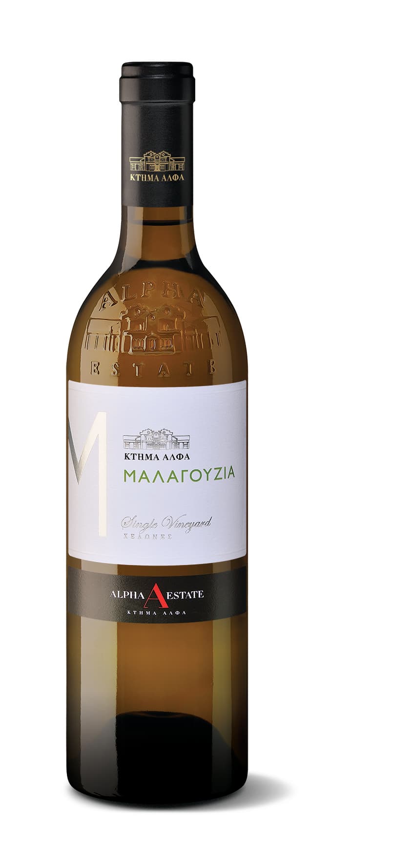 Χελώνες Μαλαγουζιά